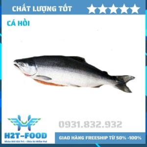 Cá hồi nguyên con - Thực Phẩm Đông Lạnh H2T - Công Ty TNHH H2T Food